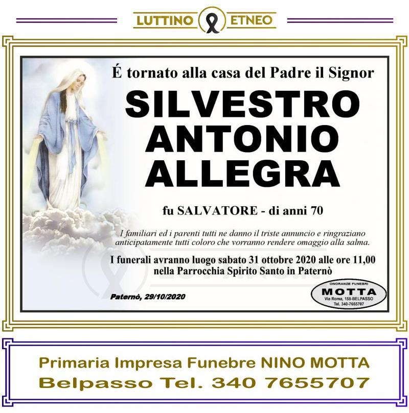 Silvestro Antonio  Allegra 